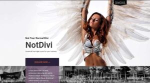 NotDivi Layout Pack